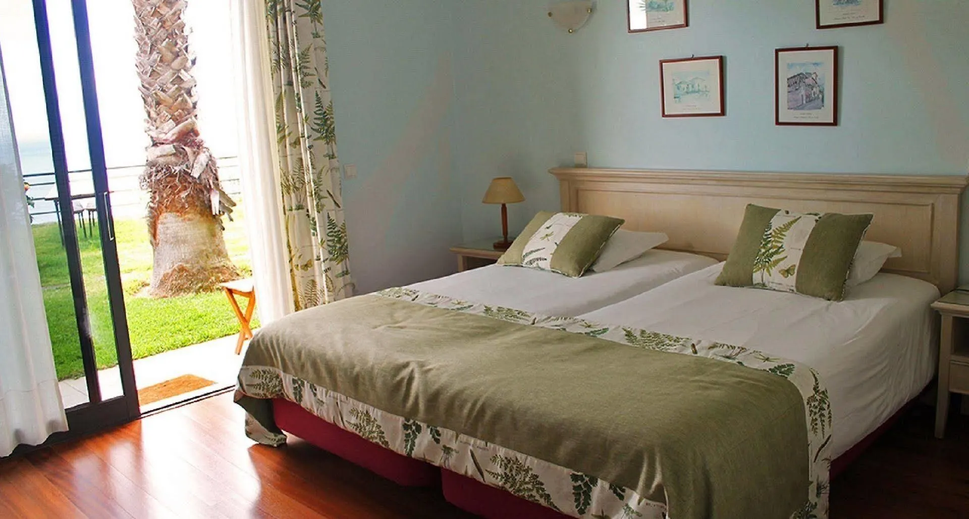 Casa Do Papagaio Verde Funchal  Guest house